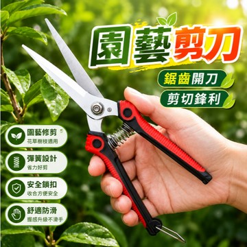 台灣現貨🎉采摘水果剪刀 葡萄稀果剪刀 修枝果枝樹枝剪 專業不銹鋼尖頭果園摘果剪 園藝剪 修花剪刀