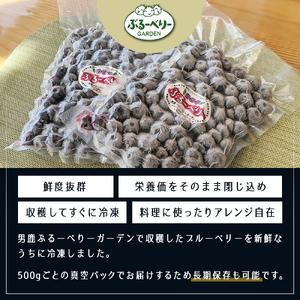 ふるさと納税  冷凍ブルーベリー500g×2パック（合計1kg） 秋田県男鹿市