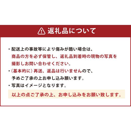 ふるさと納税 熊本県 熊本市  熊本産 ゆうべに 250g×10パック 計2.5kg いちご イチゴ 苺