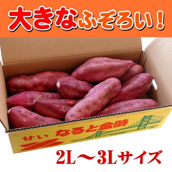 さつまいも ふぞろいのなると金時 2L〜3Lの大きいサイズ 5kg箱入り 徳島県鳴門市大津町産 送料無料