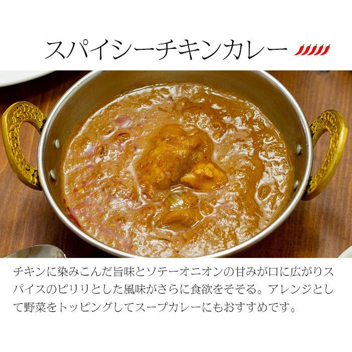 カレー レトルト スパイス香る本格派 インドカレー3食　DXセット 180g×3品 簡易包装 送料無料