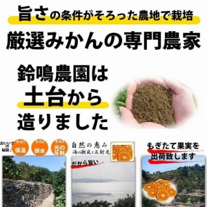 ＜12 26までの注文は年内発送＞ みかん ご家庭用　和歌山県有田川町産　有田みかん10kg