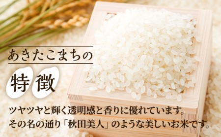 定期便 無洗米 令和5年産 あきたこまち 10kg 5kg×2袋 3ヶ月連続発送（合計 30kg） 秋田食糧卸販売