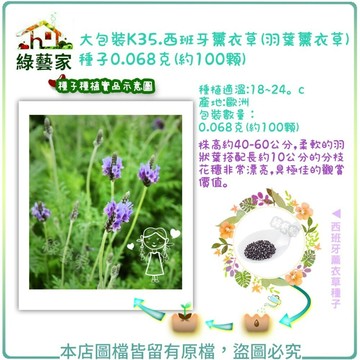 【綠藝家】大包裝K35.西班牙薰衣草(羽葉薰衣草)種子0.068克(約100顆)