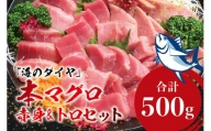 本マグロ（養殖）トロ＆赤身セット 500g  高級 クロマグロ  中トロ 中とろ まぐろ マグロ 鮪 刺身 赤身 柵 じゃばらまぐろ 本マグロ 本鮪