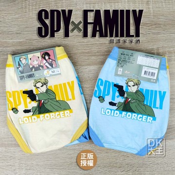 間諜家家酒 洛伊德黃昏 精梳棉兒童三角褲 兒童內褲 8365 (2件) 【DK大王】