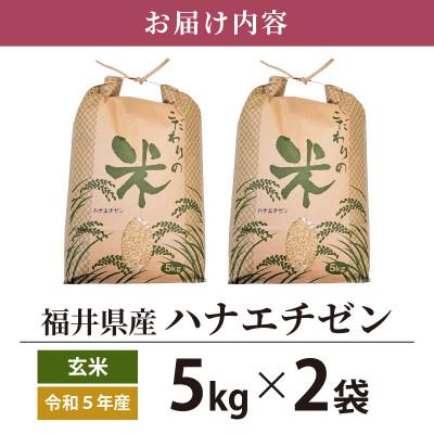 ふるさと納税 越前町 令和5年産　ハナエチゼン(玄米)　10kg