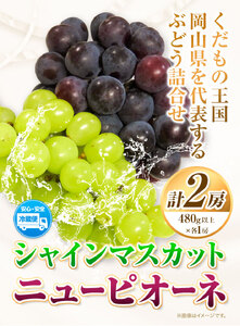 シャインマスカット 1房 ニューピオーネ 1房 詰合せ 各 480g ウィズフラワーホールディングス《9月上旬-10月中旬頃出荷》岡山県 浅口市 ぶどう マスカット ピオーネ フルーツ 旬 果物 国産 岡山県産 送料無料 冷蔵 詰め合わせ 食べ比べ セット