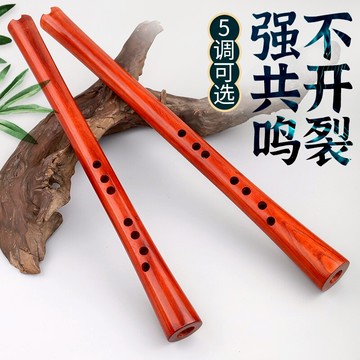 玄鶴南簫演奏級專業洞簫紅花梨木初學者A/C/G/F降B調民族樂器短蕭