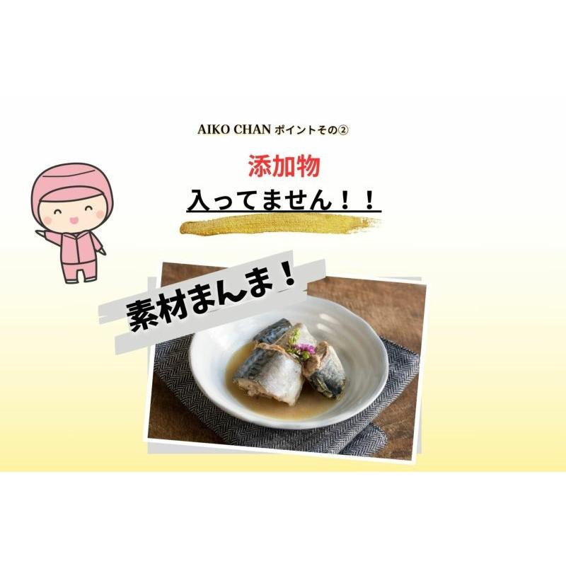 12 4日20時~5日限定全品P2倍 伊藤食品 あいこちゃん鯖水煮 食塩不使用 190g×4ケース 96個