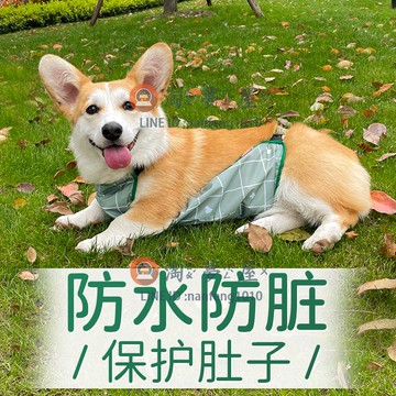 柯基肚兜 寵物雨衣保暖防臟防著涼法斗護肚子狗狗防水衣服【淘夢屋】