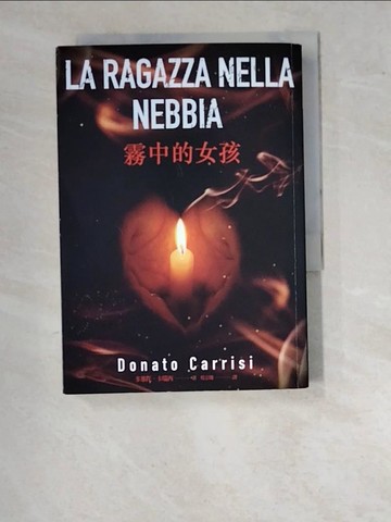 【書寶二手書T8／翻譯小說_WPE】霧中的女孩_多那托．卡瑞西(Donato Carrisi)