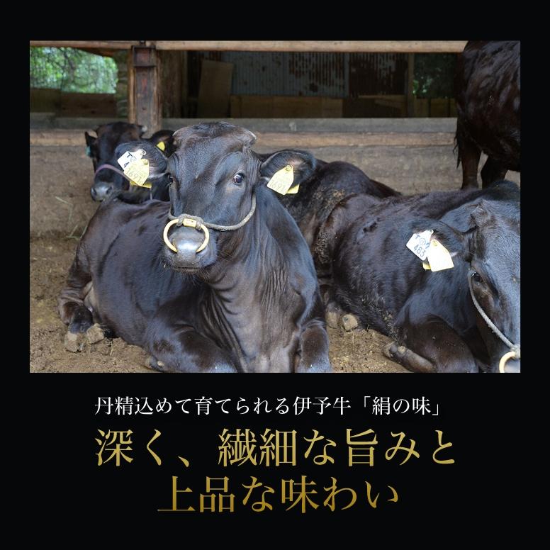 牛肉 伊予牛 絹の味 A4 黒毛和牛 和牛 ロース すき焼き・しゃぶしゃぶ用 500g 送料無料 (北海道・沖縄を除く) 2023 プレゼント