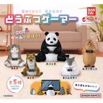 全套5款【日本正版】打電動的動物們 扭蛋 轉蛋 貓 狗 熊貓 倉鼠 土撥鼠 動物模型 BANDAI 萬代 769863
