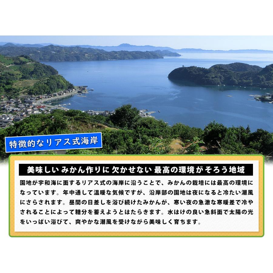 愛媛県産 小玉 みかん こまちゃん 5kg 家庭用 自宅用 訳あり 愛媛みかん 送料無料 プチ 小粒 箱買い 蜜柑 温州 早生 南柑 20号 5キロ