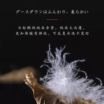 全棉可水洗95%輕薄白鵝絨被空調被暖氣被子不跑被