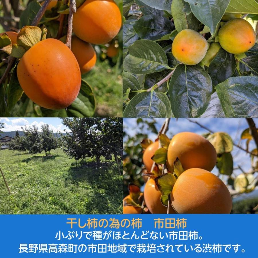 干し柿  市田柿 ２L 900g 28個 贈答用 化粧箱 長野県 高森町 《12 15頃〜下旬より出荷》