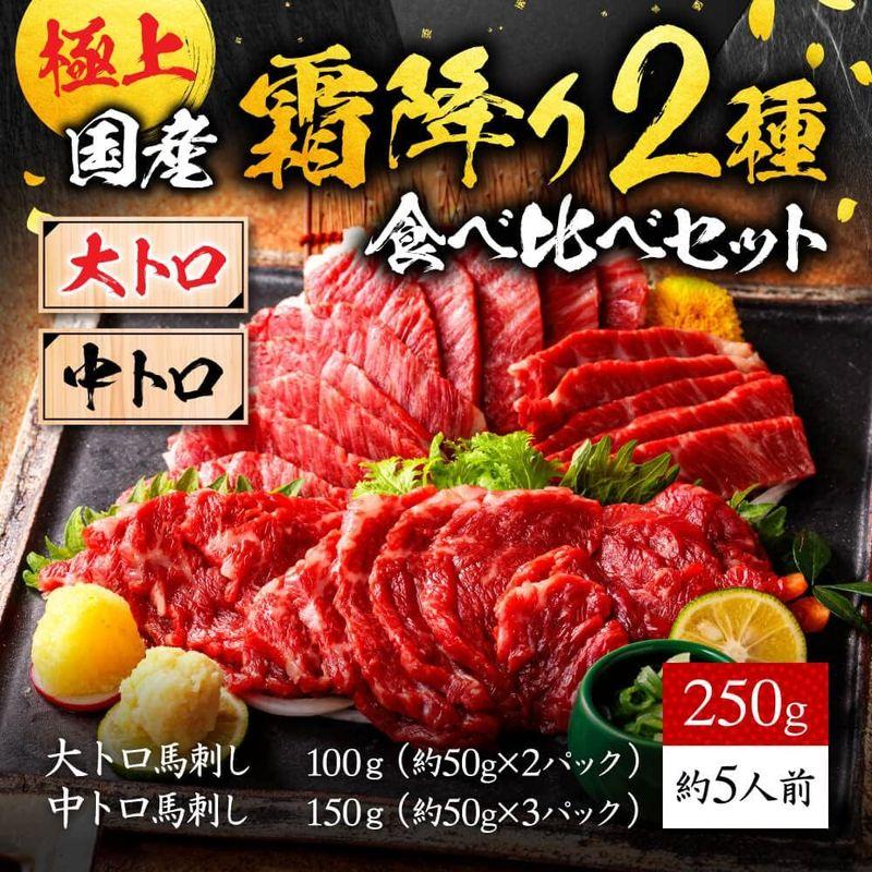 馬刺し 熊本 国産 極上霜降り2種食べ比べセット約5人前 250g 大トロ 中トロ 熊本馬刺しドットコム 特上 ギフト 九州グルメ