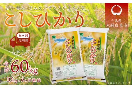 ＜6ヶ月定期便＞千葉県産「コシヒカリ」10kg×6ヶ月連続 計60kg