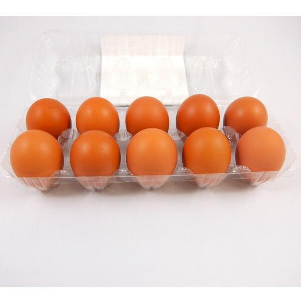 ●ひとめぼれ若鶏（小玉）10個×12パック 卵 玉子 たまご タマゴ 送料無料 41003