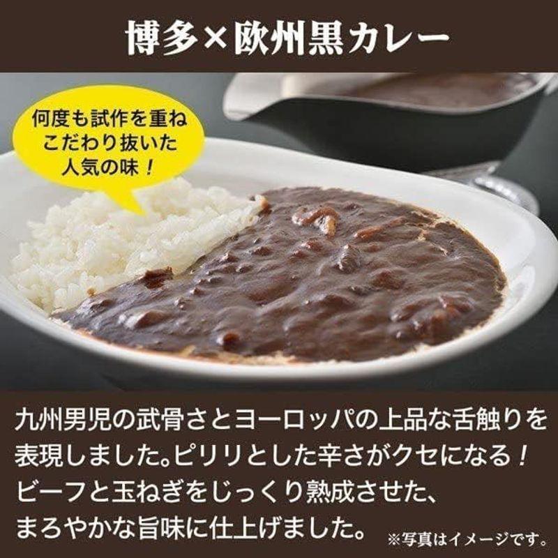 まとめ買い 当店チョイス 厳選カレー 計50食 バラエティセット