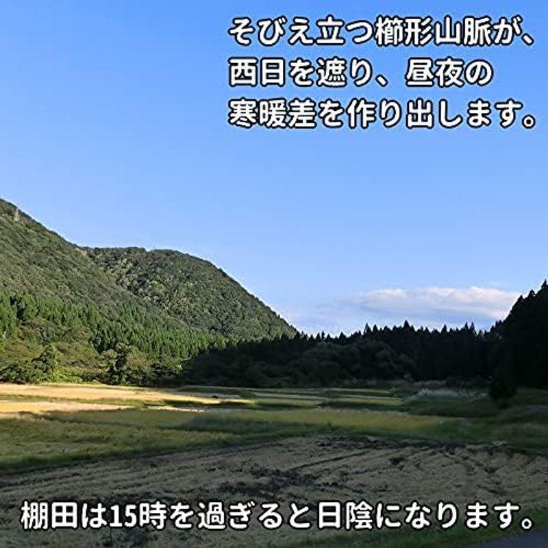 新潟の棚田米稀少米 産地限定 新潟産コシヒカリ 20kg（10kg×2袋） 白米