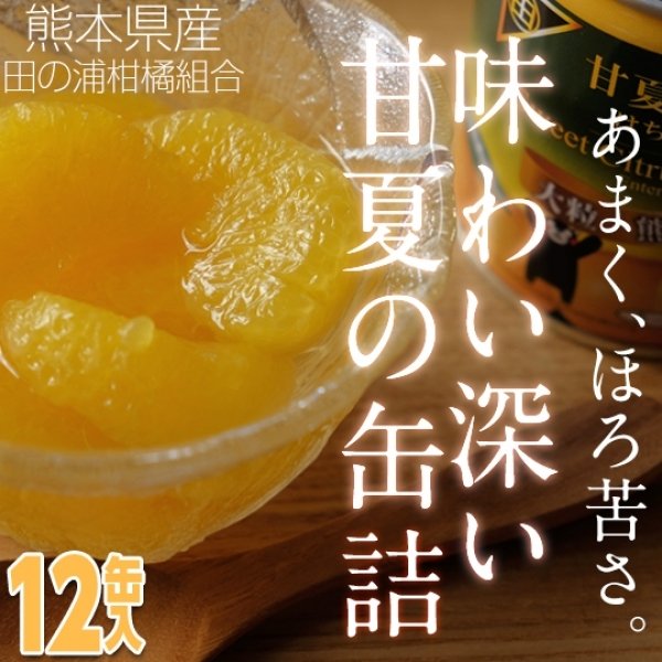 はちみつ入り甘夏みかんの缶詰（12缶入り）