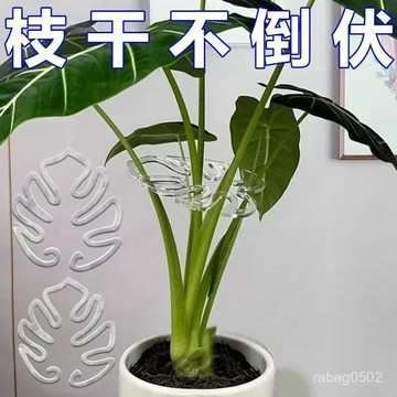 臺灣出貨⚡龜背竹支撐桿花支撐架枝幹收攏架植物防倒伏支架綠植固定神器花槽 GXR4
