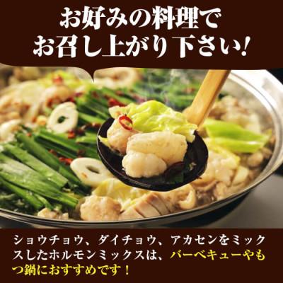 ふるさと納税 志布志市 南九州産牧草育ちの里山牛 ホルモンミックス計600g(200g×3パック)