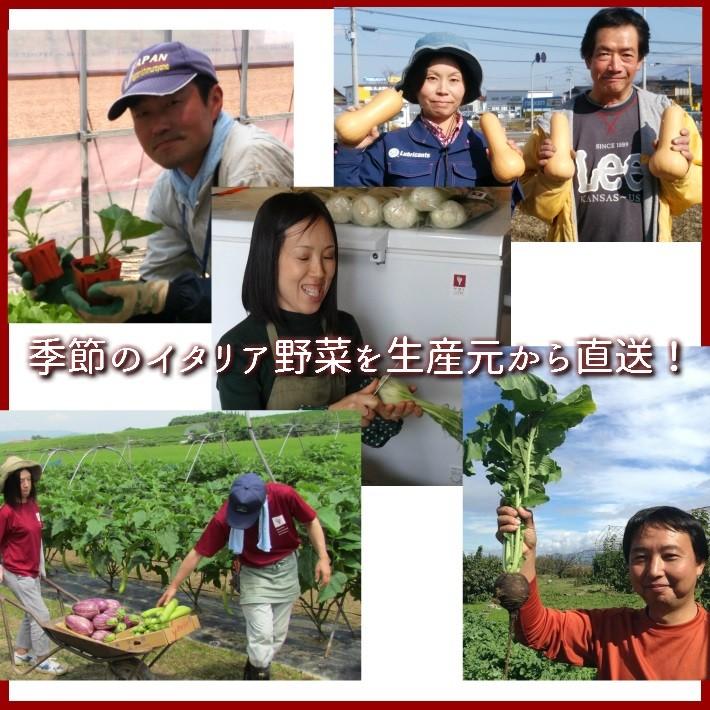 山形県かほくイタリア野菜山盛りセット 10〜12種類入り 送料無料