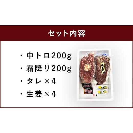 ふるさと納税 熊本県 宇城市 馬刺しセット 中トロ 霜降り 400g