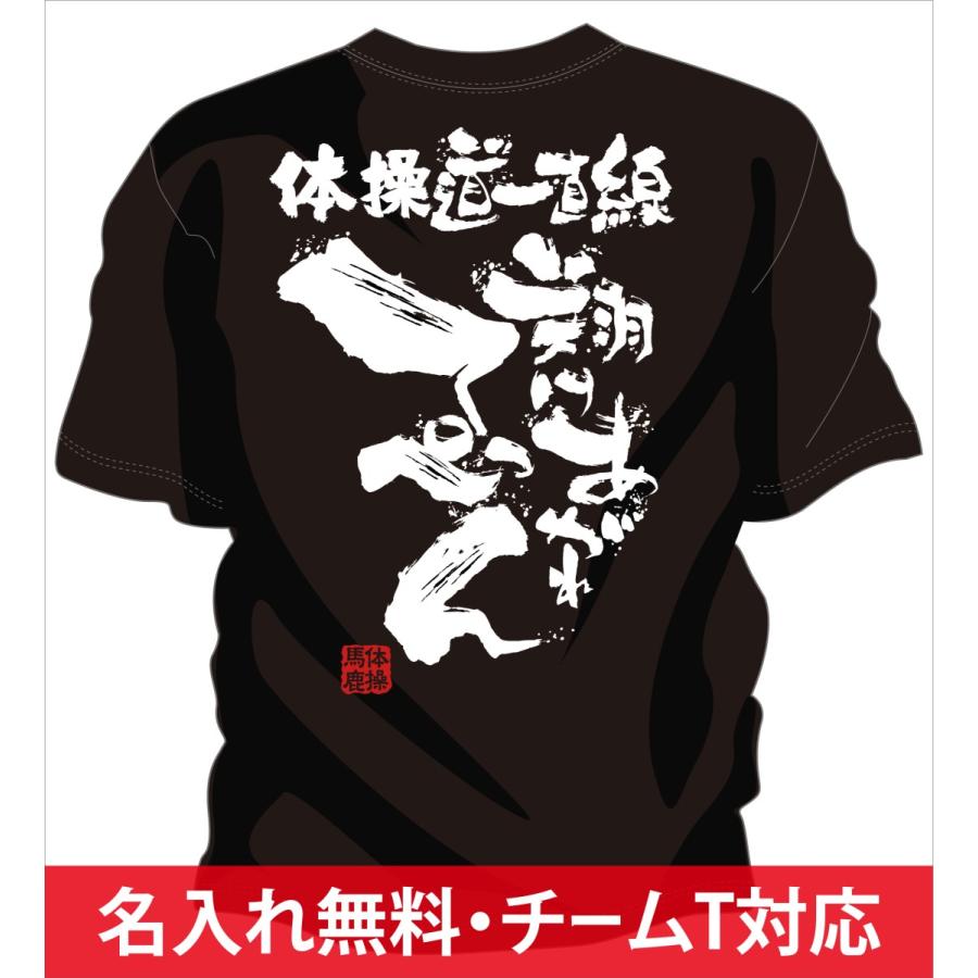 体操 Tシャツ 体操 練習着 チーム 部活 ジュニア キッズ 対応