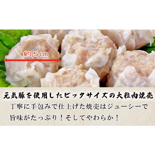 ふるさと納税 千葉県 多古町 ＜千葉県産三元豚＞元気豚 大粒肉焼売セット　2.1kg(50g×42個)