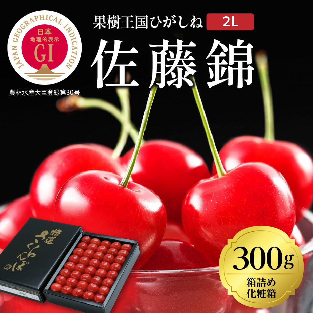 2024年産 GI「東根さくらんぼ」佐藤錦300g化粧箱詰め(2L) 東根農産センター提供　hi027-082