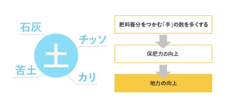 《定期便》 10kg (5kg袋小分け) ×6回 令和5年産 ひとめぼれ 土作り実証米 合計60kg 秋田県産