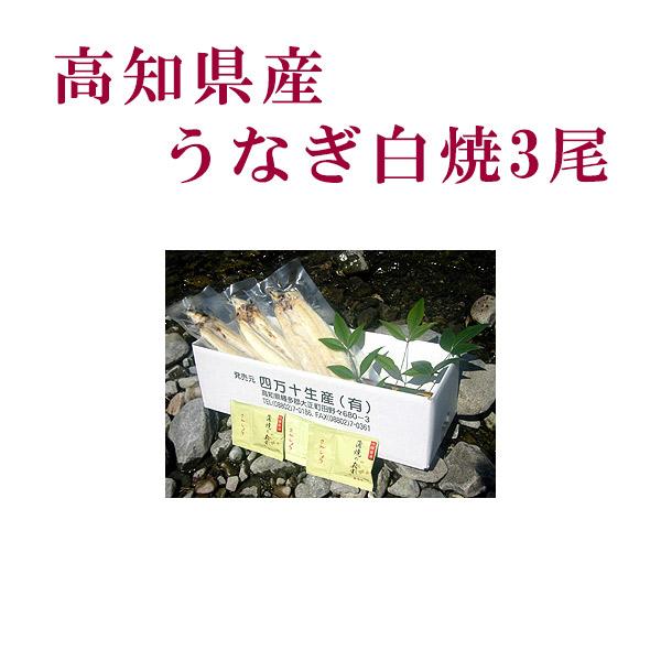 高知県産　うなぎ白焼　3尾  四万十 高知 冷凍 国産 無添加 ウナギ 鰻