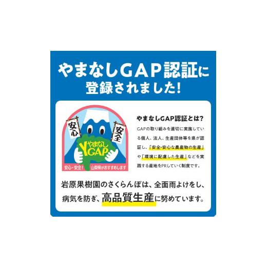 ふるさと納税 山梨県 北杜市 完熟大玉・さくらんぼ（2〜3Lバラ 約350g）