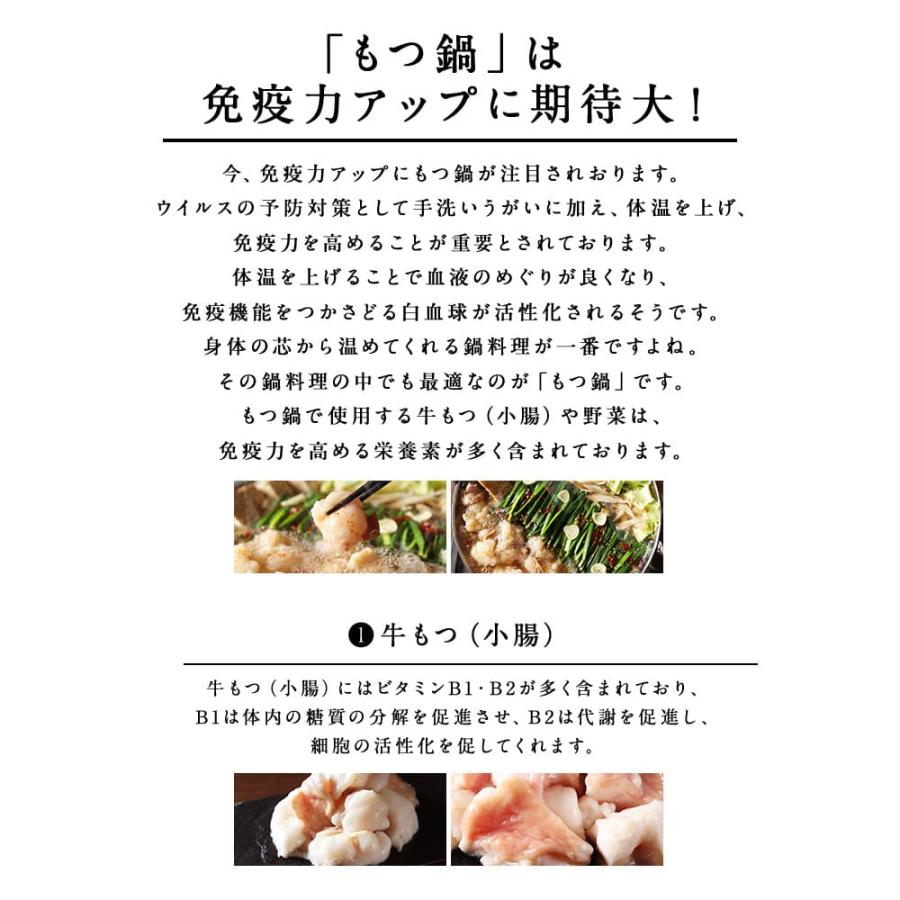 もつ鍋 黄金屋特製「メガ盛りもつ鍋セット」 厳選国産牛もつ500g  お取り寄せグルメ