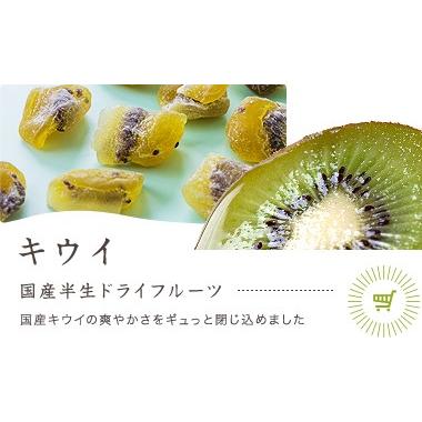 南信州菓子工房　国産・ひとくちキウイ 22g×８袋　国産　キウイ使用　ドライフルーツ