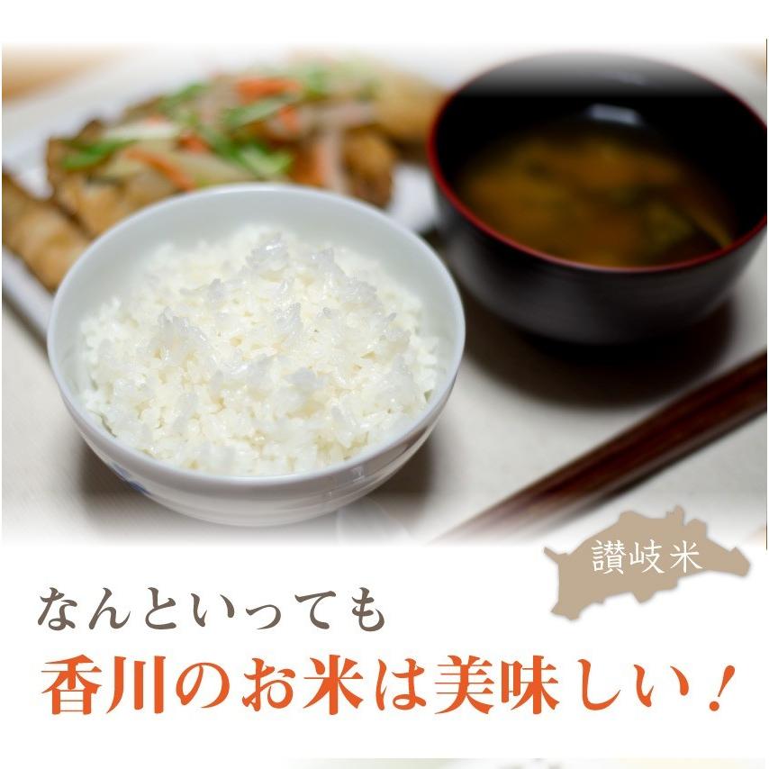 令和4年度産 新米 香川県産 こしひかり 5kg お歳暮 ギフト 食品 プレゼント 女性 男性 お祝い 新生活