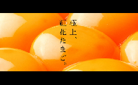  紅花たまご60個セット 10個×6パック 月 [026-003]