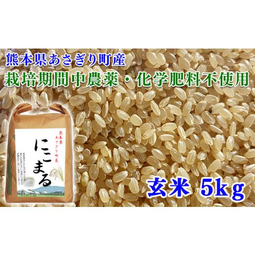 ふるさと納税 熊本県 あさぎり町 令和5年産 熊本県あさぎり町産にこまる 玄米5kg