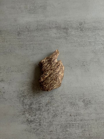 野生芽莊沉香老料S12(10克)