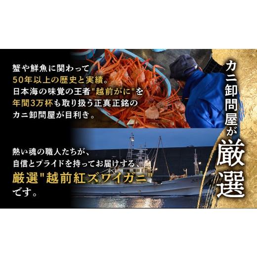 ふるさと納税 福井県 越前市 紅ズワイガニ 足棒のみ(ハーフポーション) 刺身(生食可) 冷凍 ずわい蟹