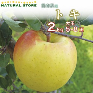 [予約 10月1日～初荷分より順次発送] トキりんご 5玉-8玉大玉 2kg 化粧箱 青森県産 リンゴ トキ 林檎 ギフト 大玉 蜜入り 高糖度