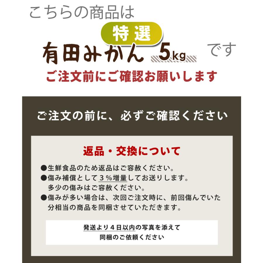 有田みかん 特選 5kg ／ 送料無料 温州みかん KS 有田 みかん ミカン ギフト 贈答