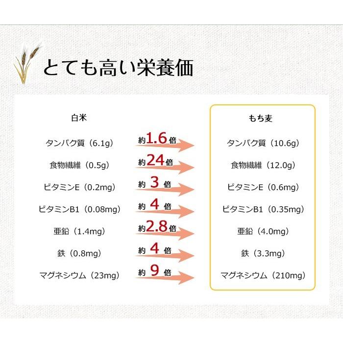 もち麦 ５ｋｇ 国産 丸もち麦 ぷちぷち 愛媛県 もちむぎ 繊維質 プチプチ おいしい