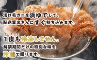 ＜2024年1月から順次発送＞ 北海道産 かに 浜ゆで 毛がに 3尾 計 900g 以上 ＜予約商品 ＞ 毛蟹 毛ガニ 北海道 冷蔵 毛蟹 毛ガニ けがに かに 蟹 カニ かに味噌 カニ味噌 新鮮 旬 ボイル 浜茹で 海鮮 海産物 新鮮 旬 魚介 蟹味噌 みそ 新ひだか町