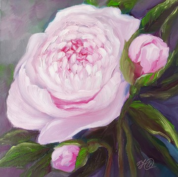 牡丹畫花卉原創藝術粉紅花卉藝術品玫瑰油畫 20x20