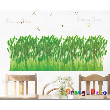 【橘果設計】蘆薈 壁貼 牆貼 壁紙 DIY組合裝飾佈置